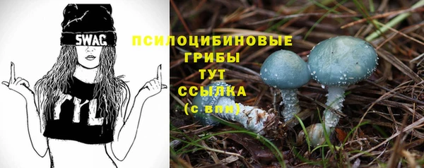 spice Строитель