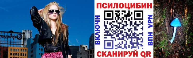 кракен   Южа  Псилоцибиновые грибы GOLDEN TEACHER 